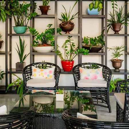 Palacio Mundo Imperial Riviera Diamante Acapulco Zewnętrze zdjęcie A balcony garden
