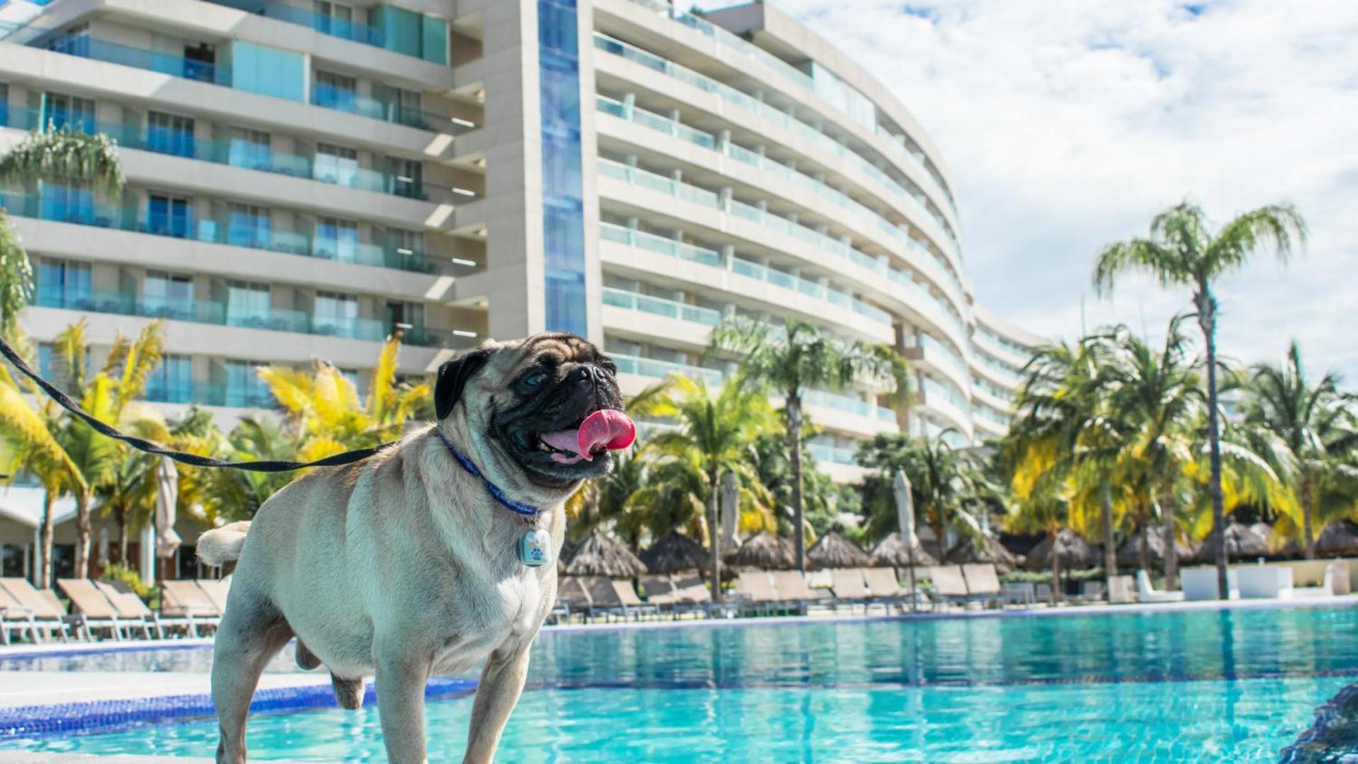 Palacio Mundo Imperial Riviera Diamante Acapulco Zewnętrze zdjęcie Millyard at the Hard Rock Hotel in Cancun